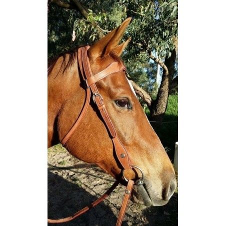 Western bridle padded 3040 - Western Bridles and breastplates